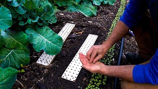 “HighTech” Precision Seed Planter W Jim Kovaleski [upl. by Georgianna]