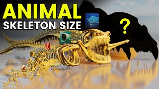 3D Animal Skeleton Size Comparison  3D MEGA TITAN Skeleton [upl. by Ailimac680]