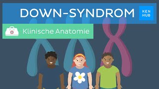 DownSyndrom Ursachen Diagnose Merkmale Prognose  Kenhub [upl. by Llehcar]