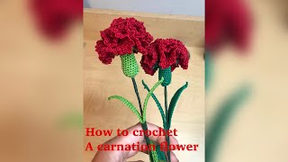 How to crochet a carnation flower [upl. by Kenta]