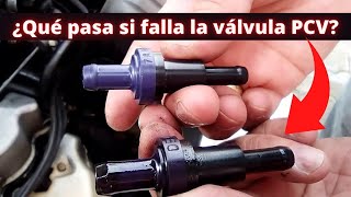 5 Fallas de la Válvula PCV Función Ubicación y como PROBARLA en CASA [upl. by Seravaj611]