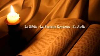 La Biblia Católica en audio 04 Evangelio según San Mateo Capítulo 11 y 12 [upl. by Yhpos]