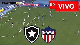 🔴 BOTAFOGO 1  3 JUNIOR EN VIVO Y EN DIRECTO 🏆 COPA LIBERTADORES  FASE DE GRUPOS 🔴 [upl. by Thaxter130]