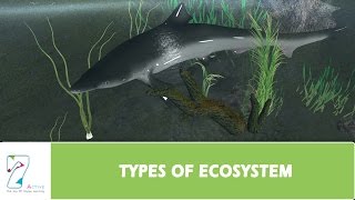 TYPES OF ECOSYSTEM [upl. by Cathyleen]