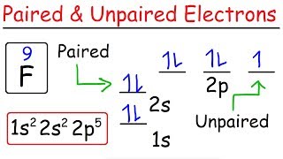 How To Determine The Number of Paired and Unpaired Electrons [upl. by Seleta538]