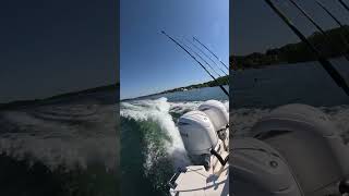 Driving the boat sailfish 276 dc [upl. by Rici302]