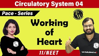 Circulatory System 04  Working of Heart  Class 11 NEET  PACE SERIES [upl. by Eppie]