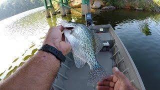 Crappie Fishing With Custom Made Jigs [upl. by Demp360]