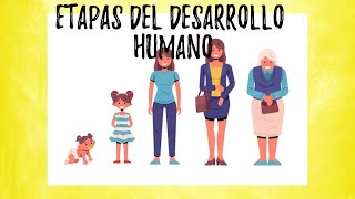 Etapas del desarrollo humano  video educativo [upl. by Alemahs]