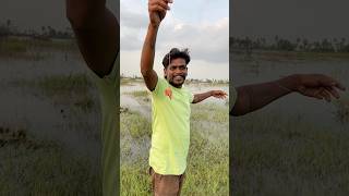 fishinglife bigfish fishcutting fishing fishingvideo bigfishcutting trending ganeshvlogs [upl. by Annekahs]