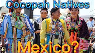 Cocopah Indians  Indigenous People Have A Reservation Here In Mexico [upl. by Adlesirhc]