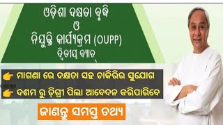 Odisha Upskilling And Placement Program  Free Training And Job  OUPP [upl. by Einnahpets]