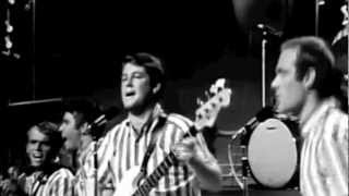 Surfin USA Live on the TAMI Show 1964 [upl. by Lindemann]