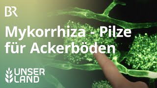 Mykorrhiza Mit Pilzen den Boden verbessern  Unser Land  BR Fernsehen [upl. by Cyler]