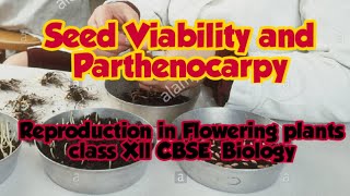 Seed Viability Parthenogenesis Parthenocarpy Class 12 CBSE Biology [upl. by Islaen]