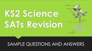 KS2 Science Revision Sample SATs Questions [upl. by Merna]