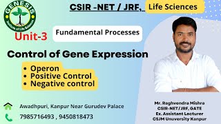 Control of gene expression  Operon  Positive Control amp Negative Control Operon  Lecture39 [upl. by Fisuoy]