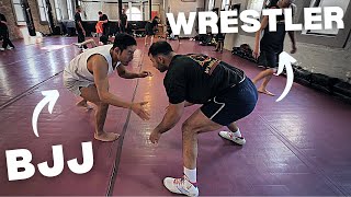 BJJ vs High Level Wrestler WHO WINS [upl. by Rutger]