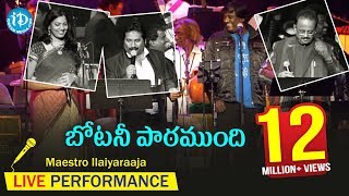 Botany Patamundhi Song  Maestro Ilaiyaraaja Music Concert 2013  Telugu  California USA [upl. by Jonathan]