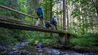 Biber in der Rötenbachschlucht  Raus mit Klaus [upl. by Leiba566]