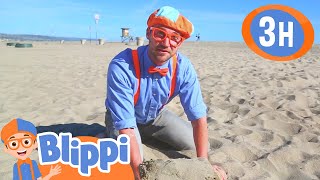 Super Sunny Beach Day  BLIPPI  Kids TV Shows  Cartoons For Kids  Fun Anime  Popular video [upl. by Allecnirp391]