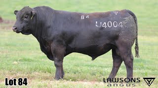 Lot 84 Lawsons Quinella VLY23U4004 [upl. by Aspasia]