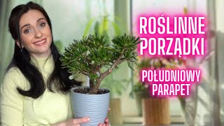 Roślinne porządki na parapetach 🌱Roślinki Gosi 🌱 Gosia i Miłosz [upl. by Newbill]