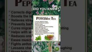 Health Benefits of Peppermint Tea [upl. by Cattier]