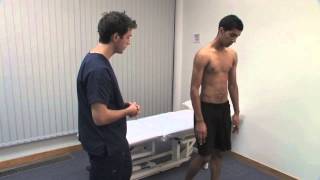 Thoracic Spine Anatomy and Palpation with Michael Lucido [upl. by Ahsiet]