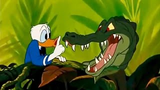 DONALD DUCK All Cartoon Full Episodes New English Compilation 2015 [upl. by Atin]