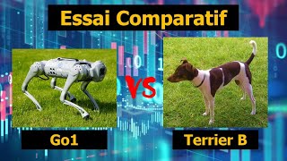 Unitree Go1 Essai Comparatif [upl. by Etteiluj]