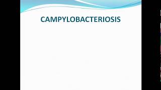 Campylobacteriosis ppt [upl. by Lewert938]