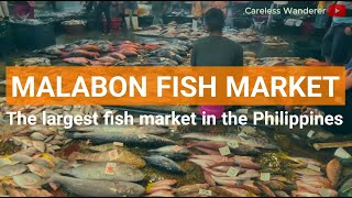 MALABON FISH MARKET  Largest fish market in the Philippines [upl. by Gisele]