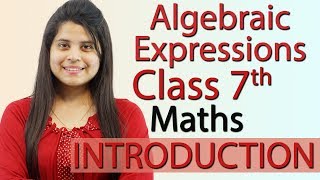 Algebraic Expressions  Chapter 10  Introduction  NCERT Class 7th Maths Solutions [upl. by Eiramanel]