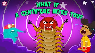 What if a Centipede Bites You  Are Centipedes Poisonous  Deadliest Insects  The Dr Binocs Show [upl. by Carlton]