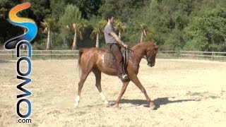 Cómo frenar y hacer correr un caballo  Curso hípica [upl. by Marlena]