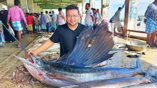 Cox’s Bazar and Fishmarket। কক্সবাজার । Coxsbazar travel guide। Dhaka to Coxs Bazar। । Saintmartin [upl. by Levey964]