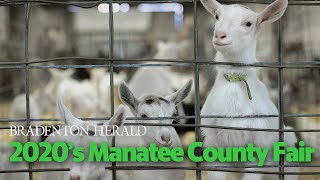 The 104th Manatee County Fair Has Begun [upl. by Inoue]