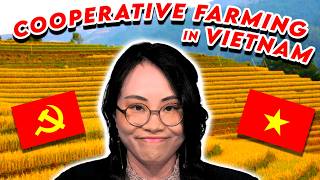 Socialist Farming in Vietnam [upl. by Lachman]