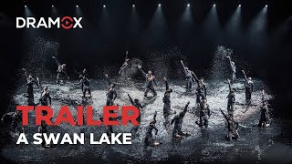 A Swan Lake  The Norwegian National Ballet  Trailer  Dramox [upl. by Abert]