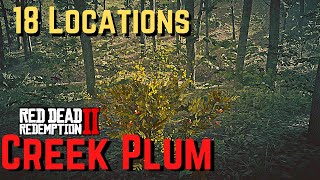 Creek Plum NEW Locations All Day Cycles Red Dead Redemption 2 [upl. by Sarah]