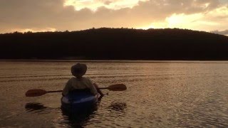 Tara Brach Leads a Guided Meditation Opening and Calming [upl. by Ajtak]