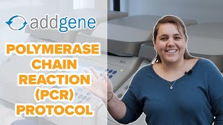 Polymerase Chain Reaction PCR Protocol [upl. by Modeste700]