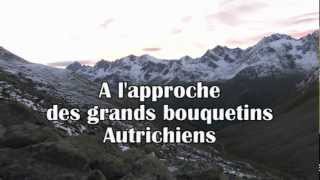 A lapproche des grands bouquetins Autrichiens DVD [upl. by Errick]