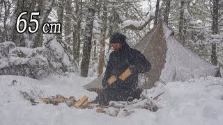 Historic Snowstorm  3 Days Solo Camping in Lightweight Hot Tent [upl. by Aisul]