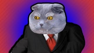 POLITICATS TRAILER [upl. by Chalmer]