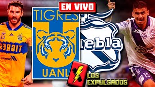 🔴 TIGRES CON GOLAZOS ELIMINÓ AL PUEBLA  LIGUILLA LIGA MX APERTURA LIVE  Los Expulsados [upl. by Salena]