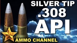 AMMOTEST Silver Tip 308 Armor Piercing Incendiary [upl. by Tiedeman]