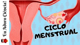 Ciclo Menstrual [upl. by Petronella911]