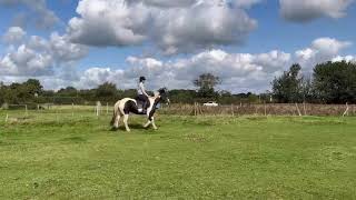 CnG Equine Willow enjoying popping some jumps [upl. by Quintin152]